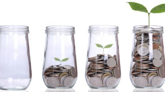 Money growing plant step with deposit coin in bank concept